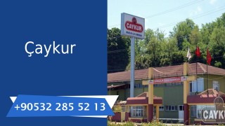 Çaykur
